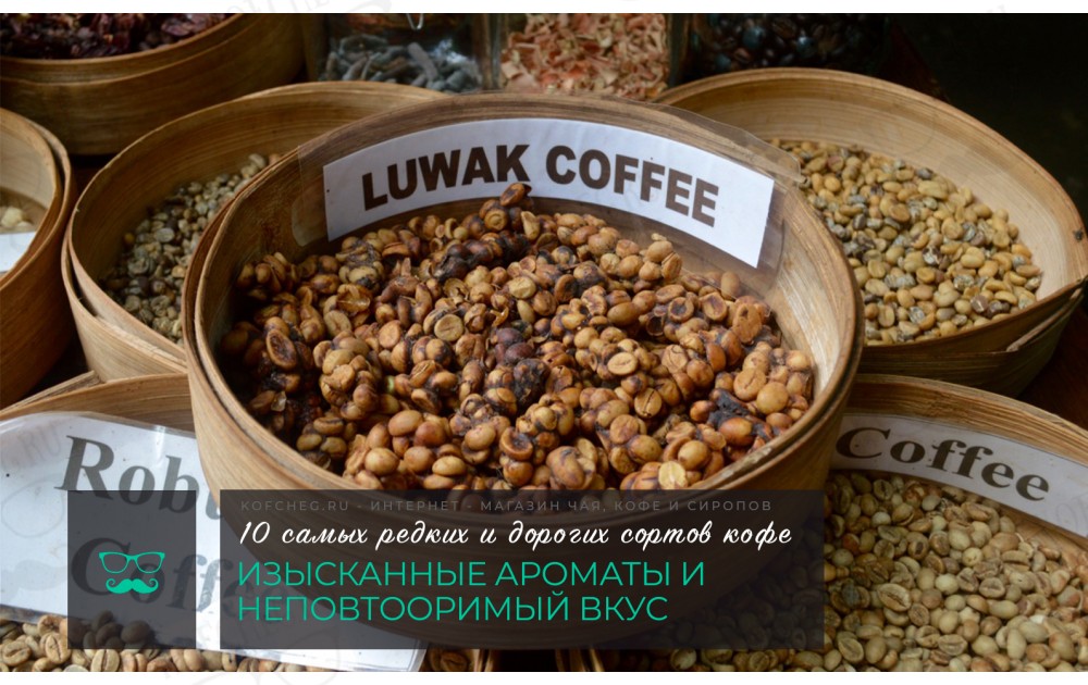 10 самых редких и дорогих сортов кофе в мире