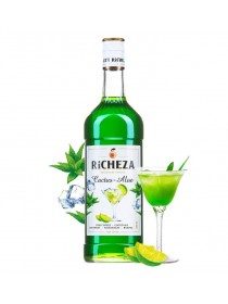 Сироп Кактус-Алоэ Richeza 1 л