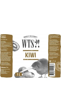 Киви cироп WTS, бутылка стекло 1 л